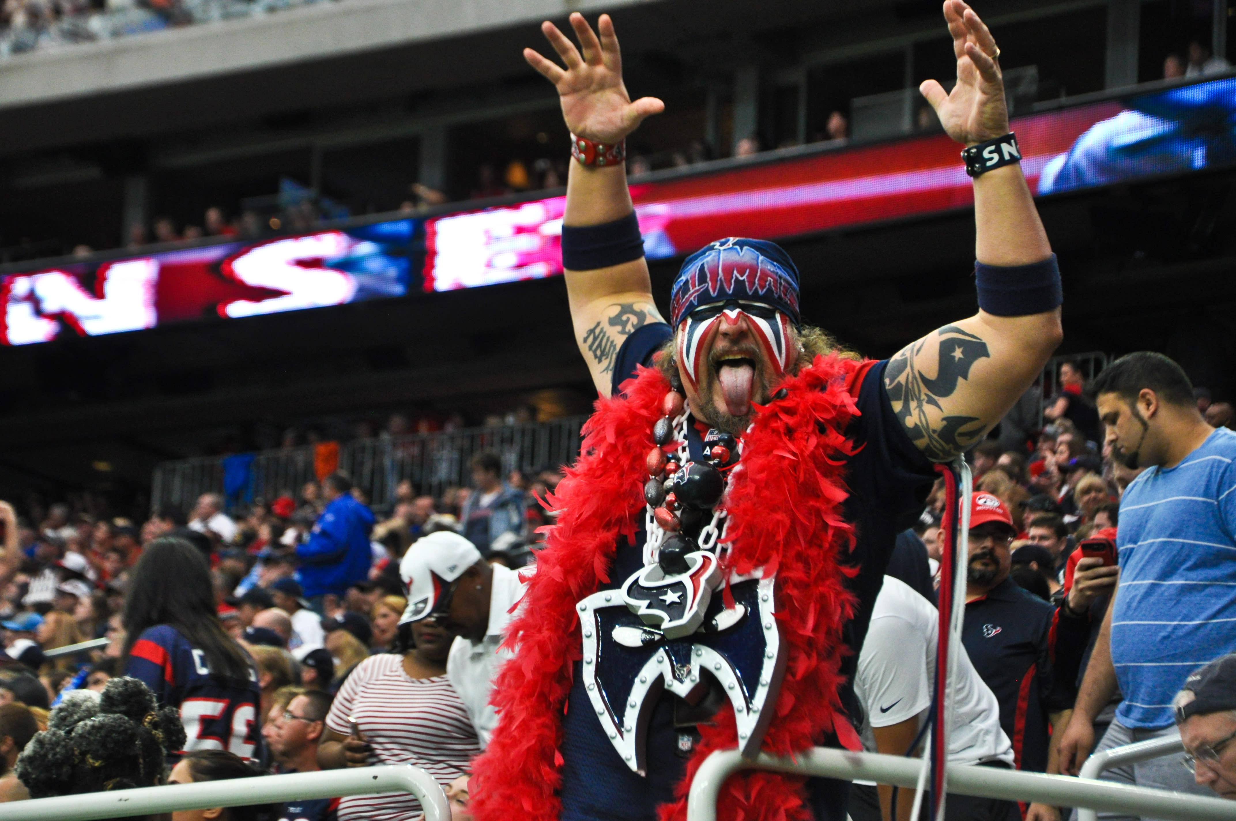 Texans Fan at Game
