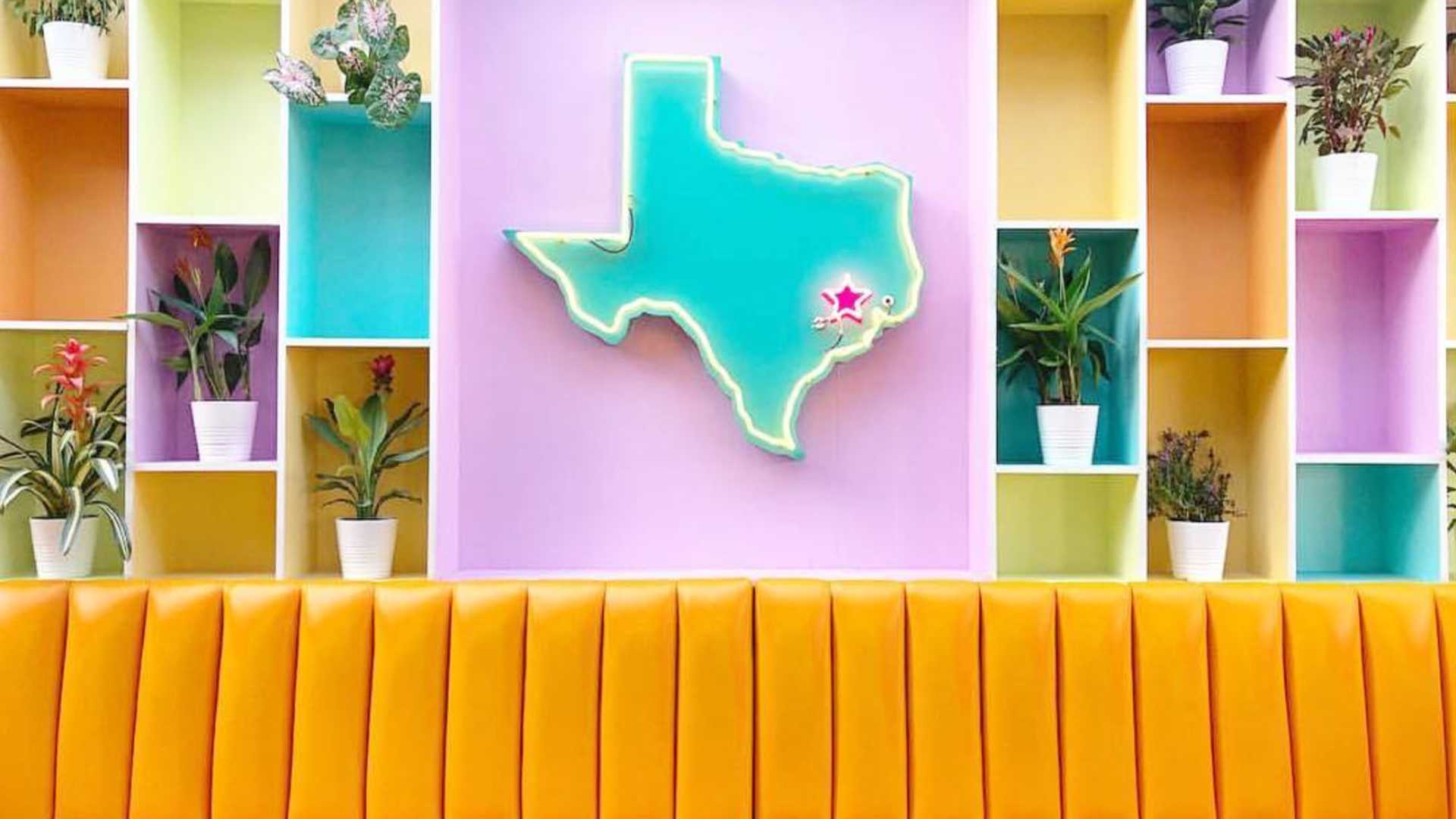 Texas Art Behind Couch
