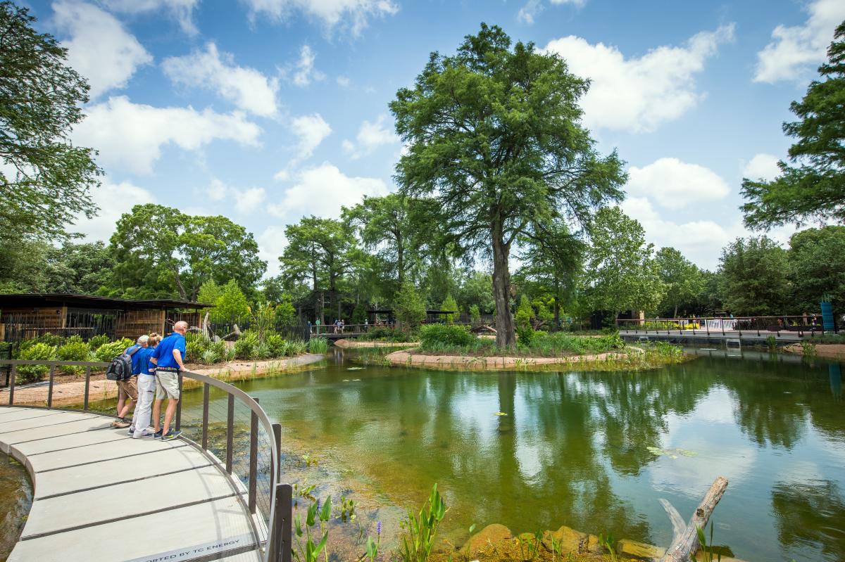 Texas Wetlands - Houston Zoo